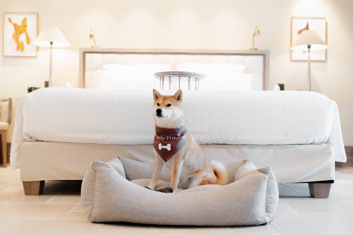 Coquillade Provence unveils its "Very Important Pet" programme