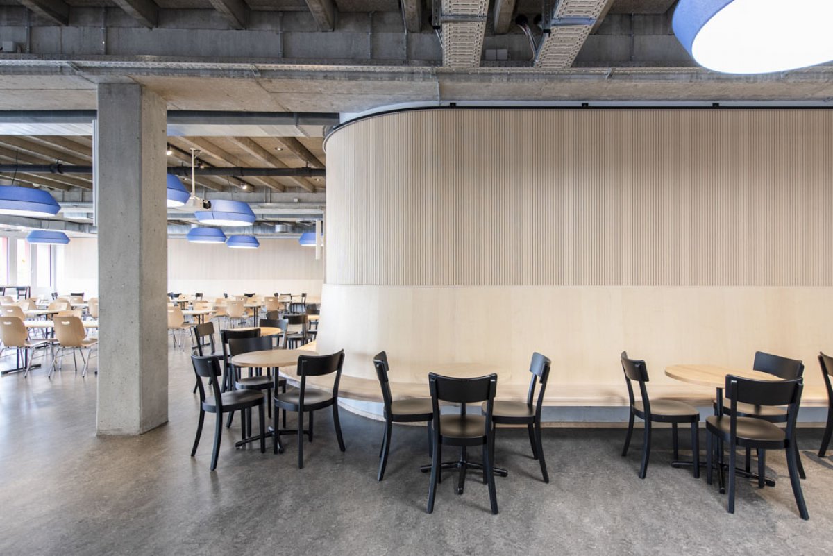 Nature-inspired interior design for hotels and restaurants