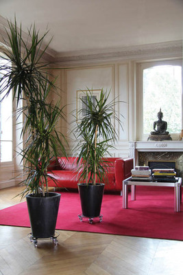Roultou decorative supports: GPI's trays and glides move outdoors