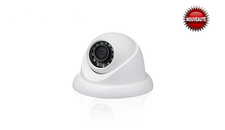 IP 2MP video surveillance camera